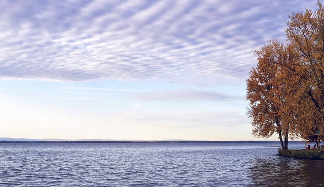 Peaceful couples retreat on Oneida Lake. Insta-worthy views. Cozy interior.