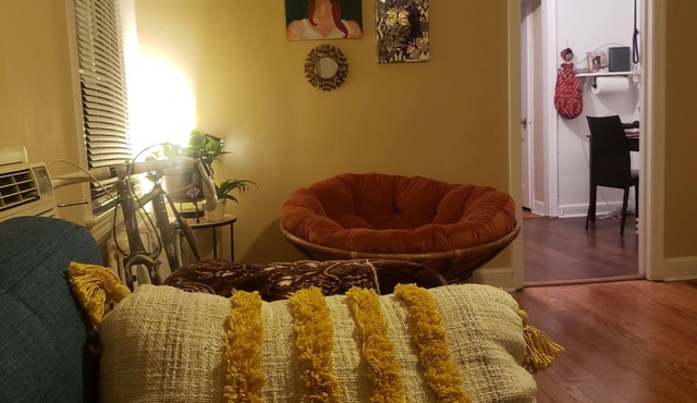 Peaceful & Cozy 1-bedroom apartment in Takoma Park