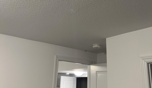 Peaceful Cozy Basement Apartment