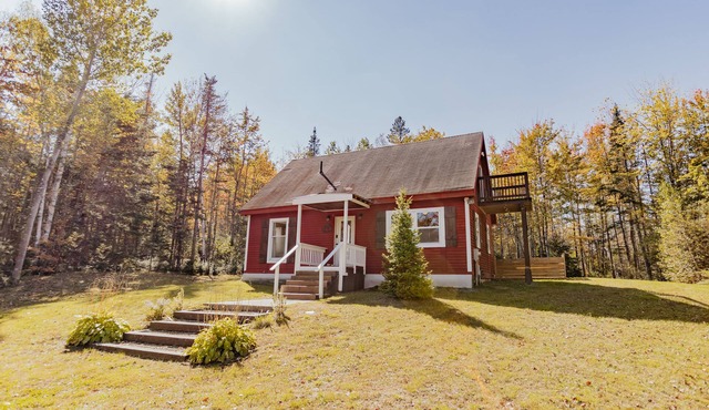Peaceful, Cozy Cabin Getaway - 4 Season Cabin