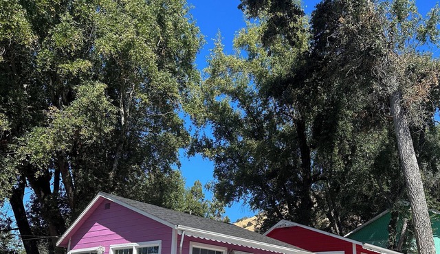 Peaceful & Cozy lakeside cottage w/ free parking