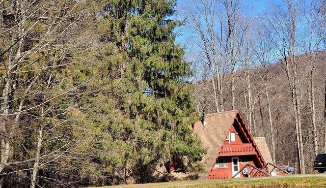 Peaceful Days~Cozy Cabin~Sounds of Silence~Star Gazing~Relax