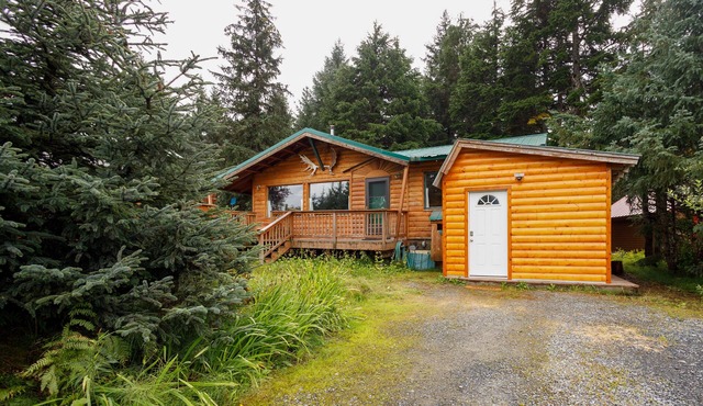 Peaceful dog-friendly cabin with hot tub, woodstove, W/D & WiFi - mountain views