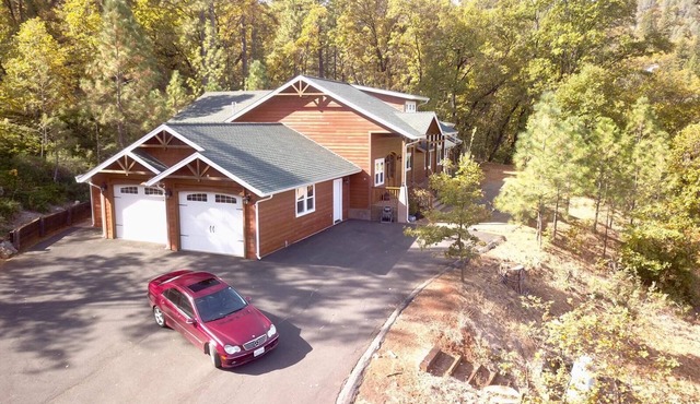 Peaceful Elegace in the Forest