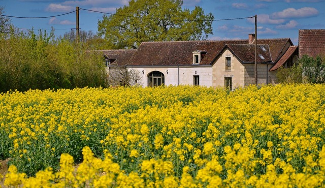 peaceful farmhouse surrounded by fields and woods, renovated comfort