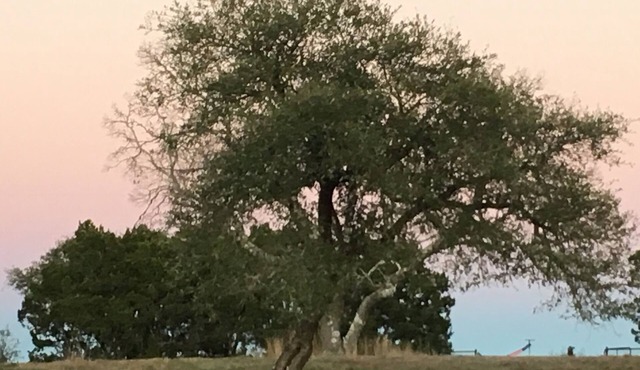 Peaceful Farm Stay A Guesthouse in the Heart of the Texas Hill Country
