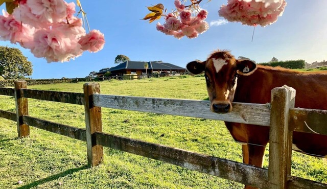 Peaceful Farm Stay near Auckland with Spa Pool