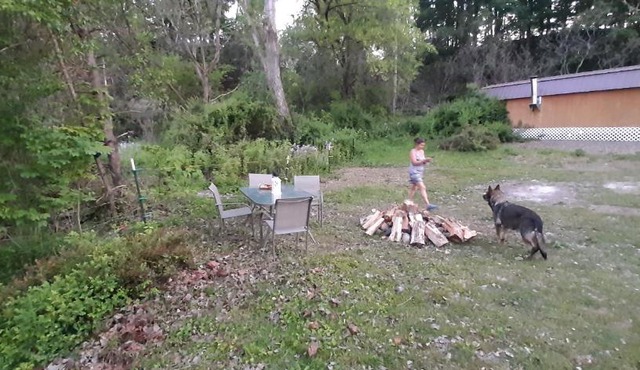 Peaceful Farmstead Cabin on Private Pond