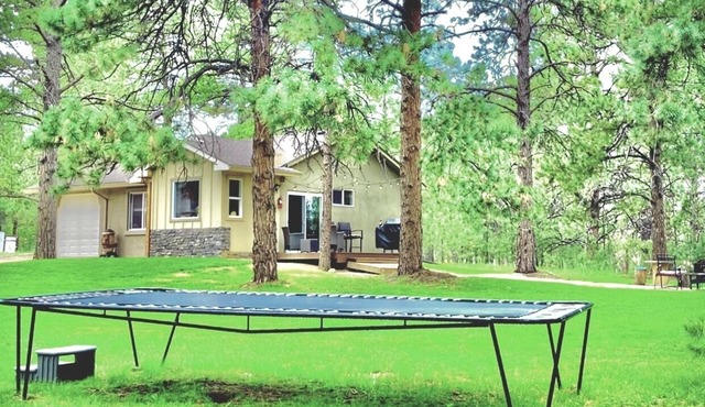 Peaceful Forest feel 5ac, Comfy 3bd Monument hidden but close, Deer, USAFA 10mi