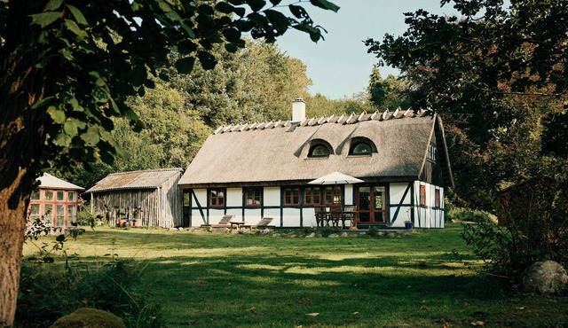 Peaceful forest idyll in timber house for families