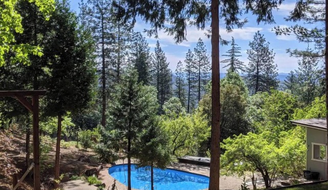 Peaceful Forest Retreat w/Pool, Game Room, EV Charger. Pet friendly!