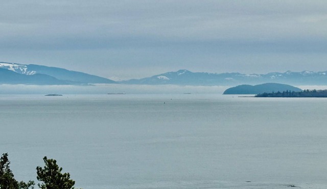 Peaceful Forest Retreat w/Water Views & Stove