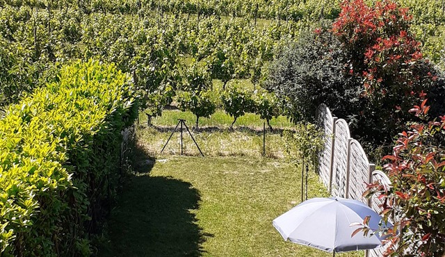 Peaceful French townhouse