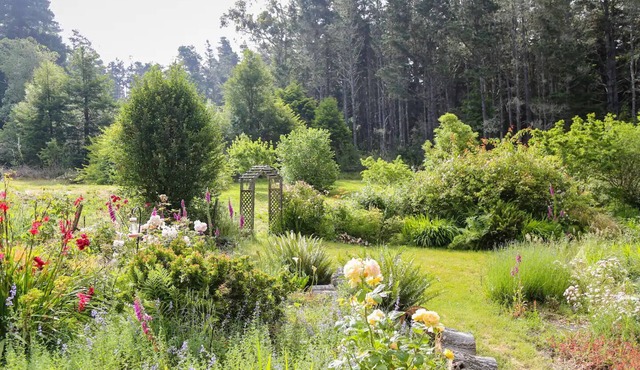 Peaceful Garden Oasis with Breakfast Provided