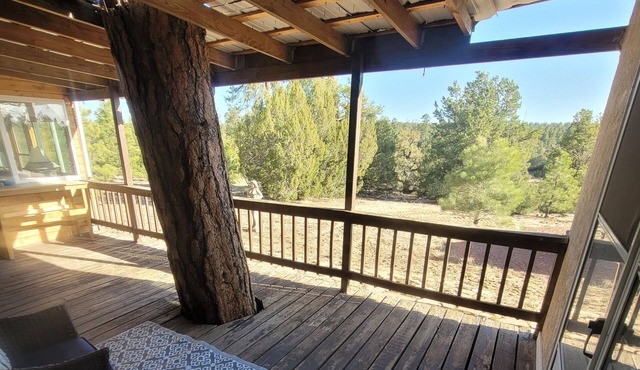 Peaceful Guest Suite Amongst The Tall Pines! Gaze at the stars from the hot tub!
