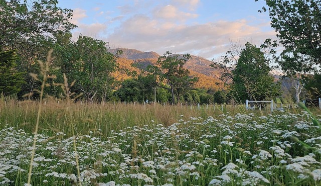 Peaceful High Country Farm Stay with Stunning Mountain Views and River Front