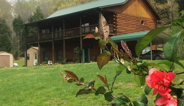 Peaceful Hills Cabin is clean, family-friendly and quiet on 97 acres with creek.