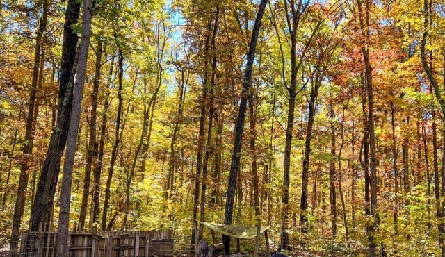 Peaceful Hilltop Cabin.L, backs up to Prentice Cooper within min. from downtown