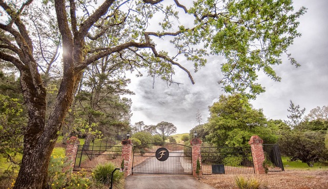 Peaceful Hilltop Retreat-Deck, Privacy & Views