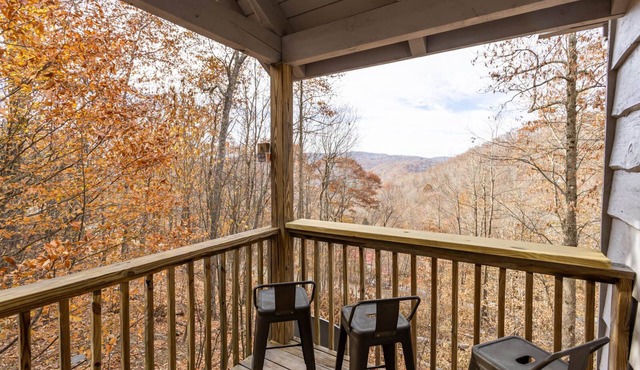 Peaceful Home near Blue Ridge Mountains