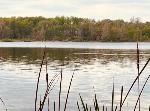 Peaceful home right on the lake!