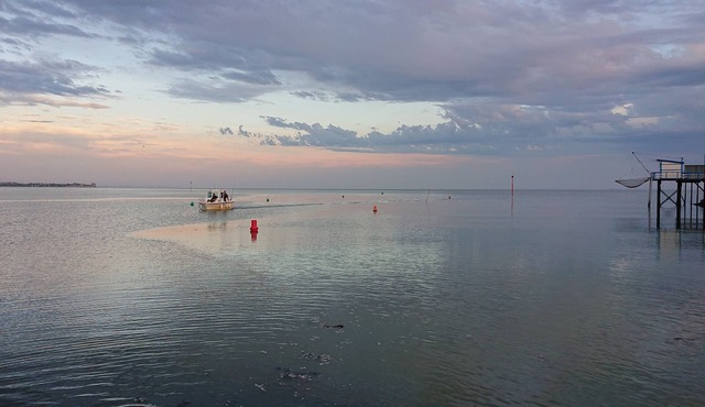 Peaceful house country sea 8 km Royan region bucolic and oceanic vacations