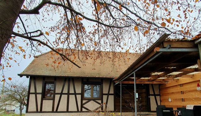 Peaceful house in the heart of Alsace