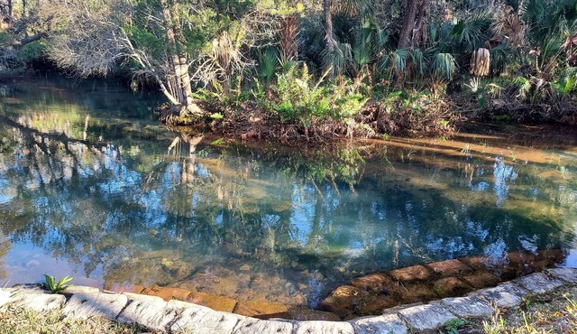 Peaceful house right on the spring. Great place to get away from everything.