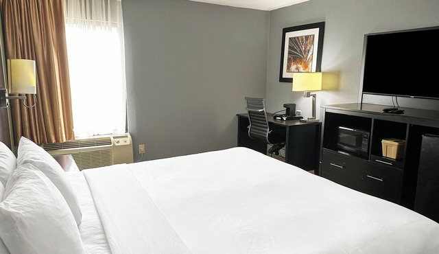 Peaceful King Retreat | Relaxing Rome Stay Close to Downtown & Dining