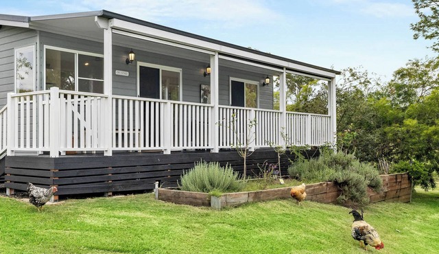 Peaceful Kyogle Farmstay with Animals