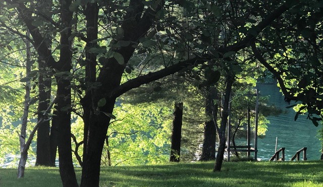Peaceful Lakefront! Private deep water dock, evening sun, quiet dead end street!