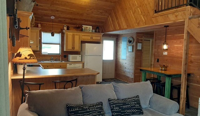 Peaceful lakeside cedar cabin in charming Hot Springs