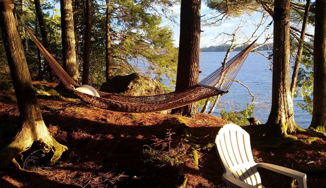 Peaceful Lakeside Retreat with Private Frontage & Dock /Acadia Area