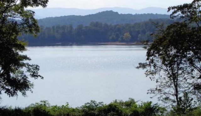 Peaceful lakeview cabin with private dock & dog run