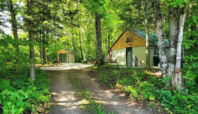 Peaceful Little Cabin