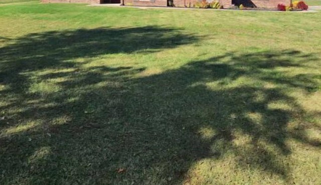 Peaceful living 3 bed 2 bath on 3 acres