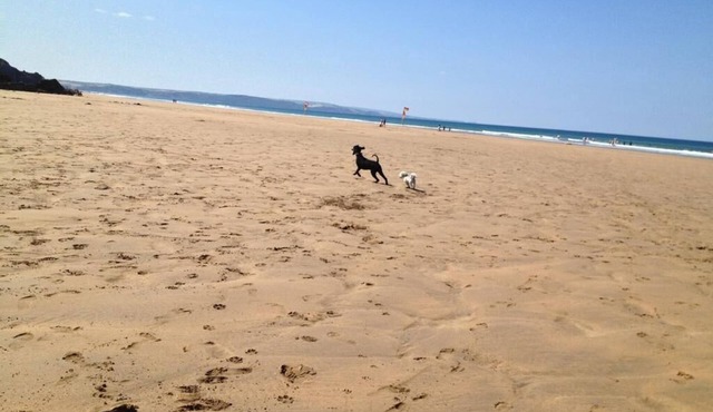 Peaceful, luxury, allergy &smoke-free lodge.Hot tub, Fishing, dog-friendly, surf