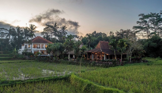 Peaceful Luxury Rice Field Villa with Dedicated Staff & Private Pool near Ubud