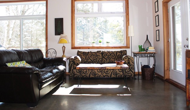 Peaceful modern cottage on lake nestled in the woods & pet friendly