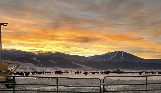 Peaceful Montana Ranch Stay. Close to skiing, hiking