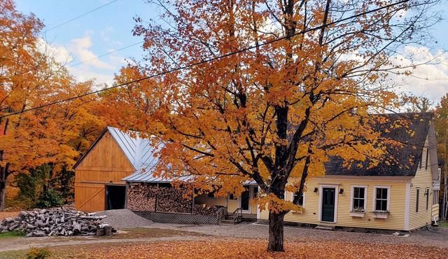 Peaceful Mountain Retreat near Saddleback