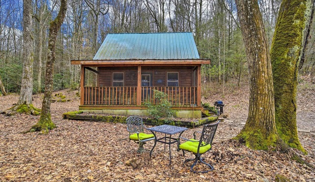 Peaceful Mountain City Cabin w/Porch & Fire Pit