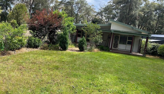 Peaceful mountains cottage stay. 5min drive to Springwood town and train line.