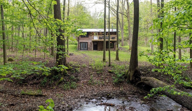 Peaceful Naples Cabin w/Deck & Stream Views