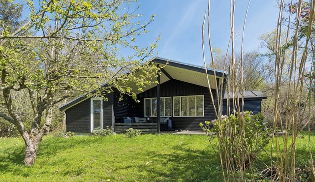 Peaceful nature holiday by the Limfjord