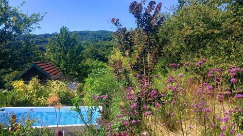 Peaceful Nature House near Zagreb - Pet Friendly - Workspace - Fast WiFi