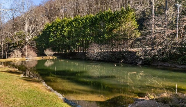 Peaceful Nature Retreat on 66 Acres | Pond, Trails