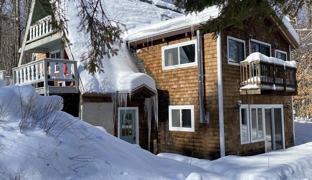 Peaceful Near Mt Snow Wood Stove Sauna Forest Views Cozy Stay