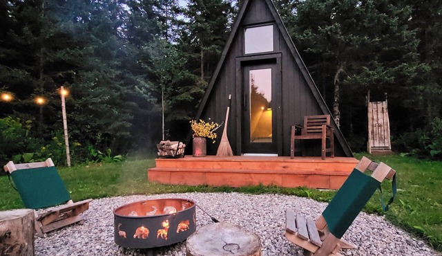 Peaceful off-grid forest experience with outdoor shower and walking trail.