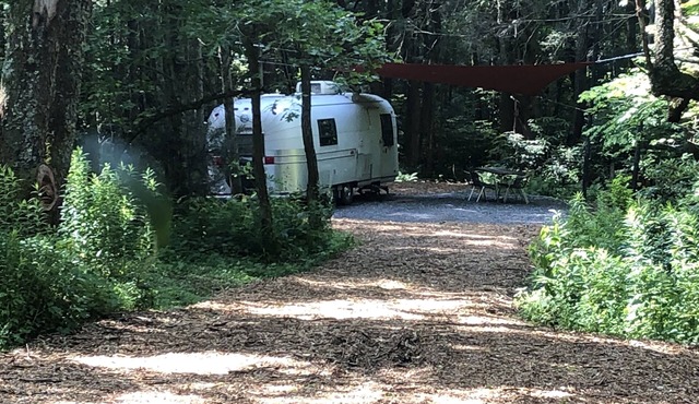 Peaceful Outdoor Living near the Blue Ridge Parkway and 5 min to Boone!
